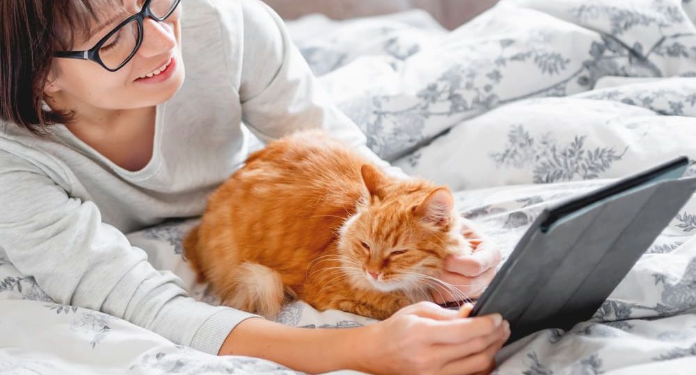 Cute ginger cat and woman in glasses are lying in bed. Woman is